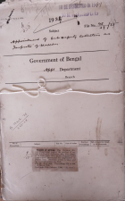 Local cover image