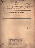 Local cover image