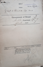 Local cover image